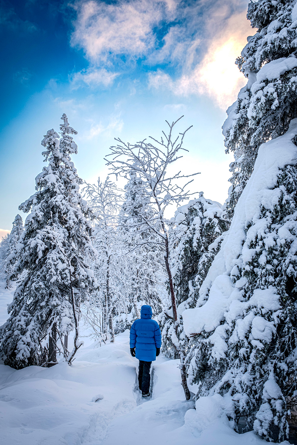 Valtavaara winter trail - Lapland - Finland