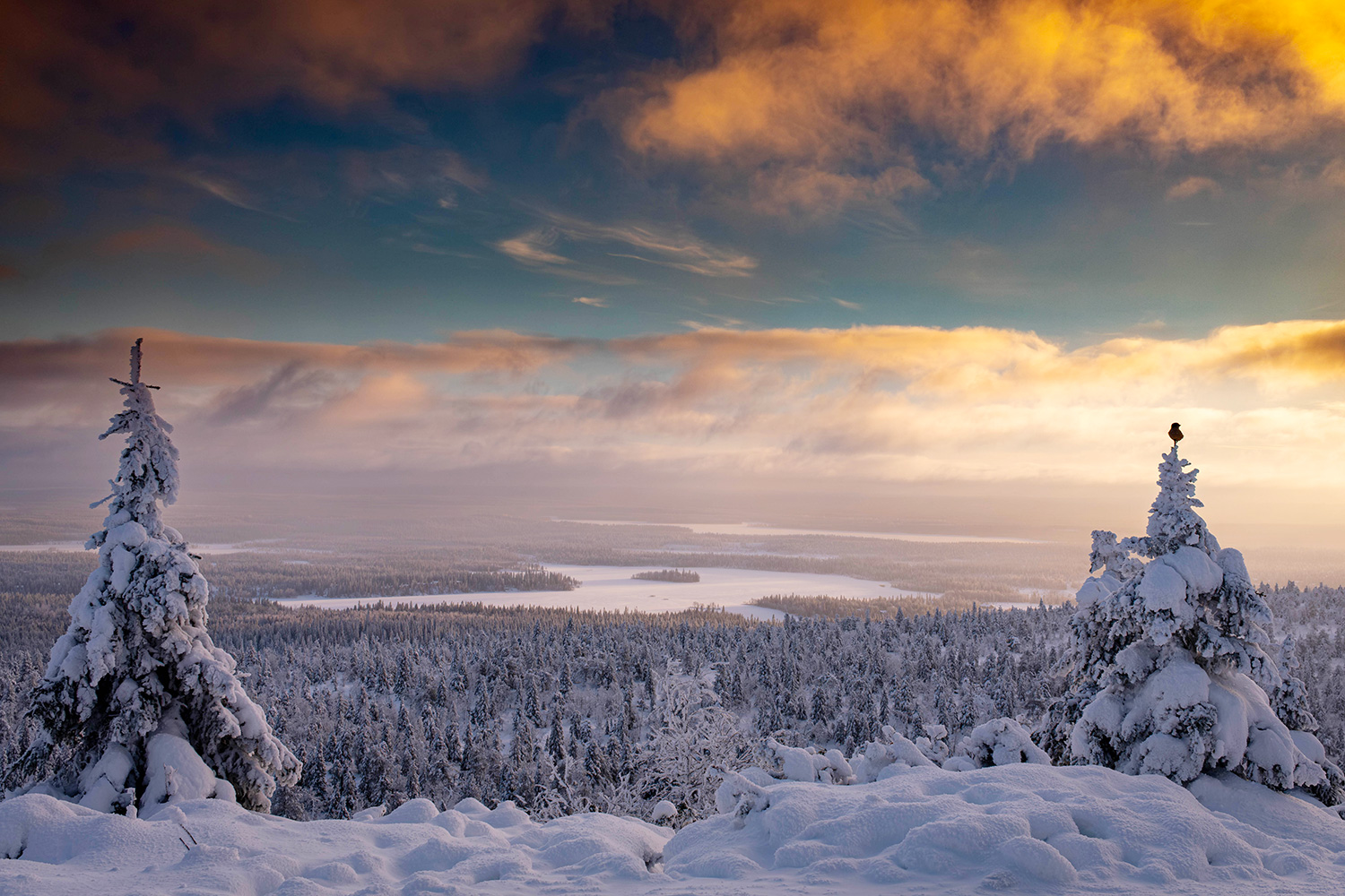 Valtavaara view - Lapland - Finland